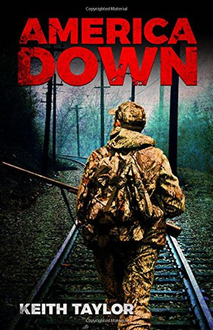 America Down: Volume 2 (Willow Falls)