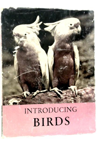 Introducing Birds