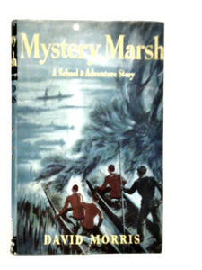 Mystery Marsh 
