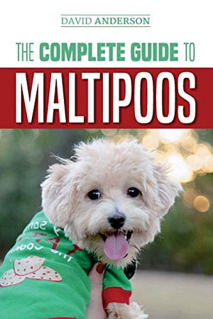 The Complete Guide to Maltipoos