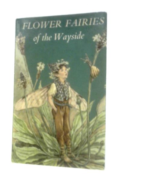 Flower Fairies of the Wayside