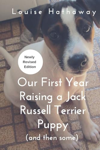 Our First Year Raising A Jack Russell Terrier (and then some)