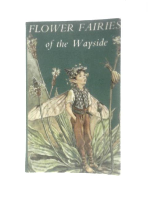Flower Fairies of the Wayside