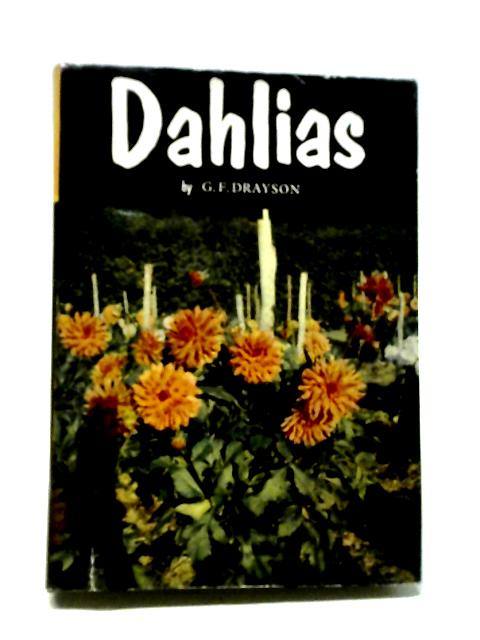 Dahlias