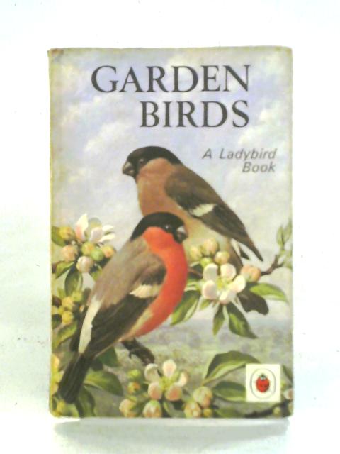 Garden Birds