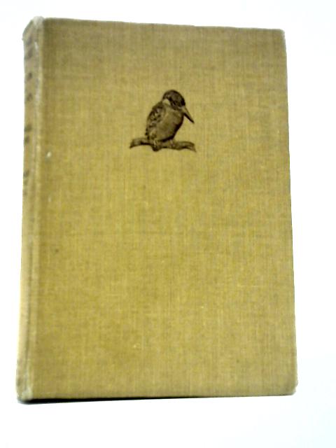 Out with Romany By Meadow and Stream