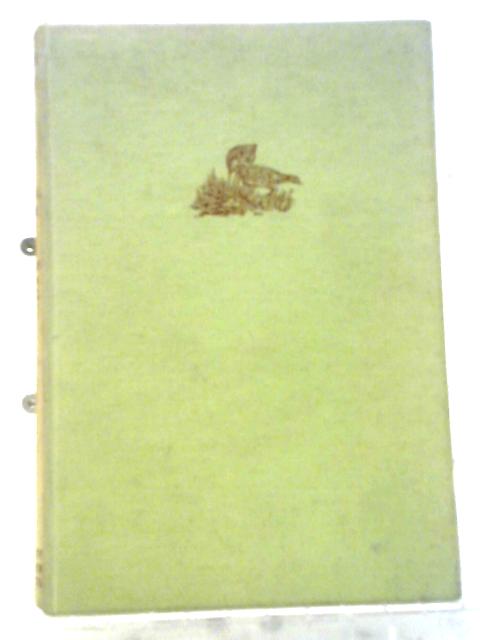 Out With Romany By Moor And Dale