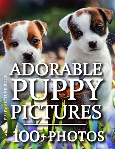 Puppy Picture Book  Adorable Puppy Pictures  Amazing Puppy Photos in this fantastic Puppy Photo Book Dog Photography Book Series