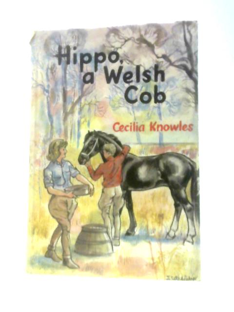 Hippo: A Welsh Cob