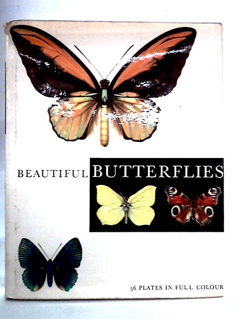 Beautiful Butterflies