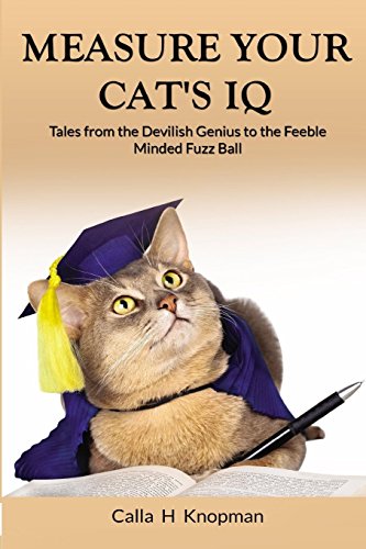 Measure Your Cat's IQ