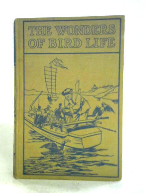 The Wonders Of Bird Life