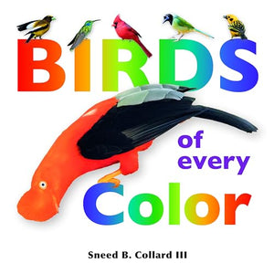 Birds of Every Color 
