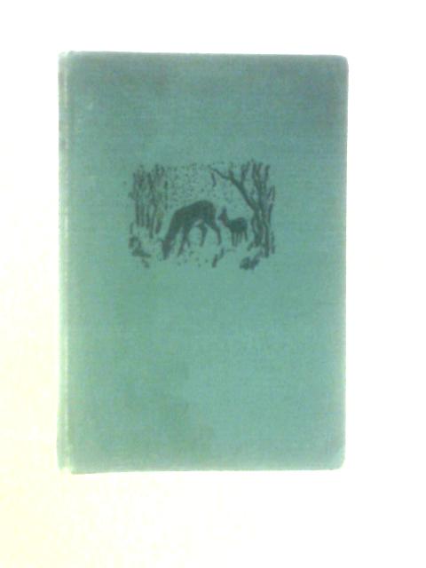 Bambi: A Life in the Woods