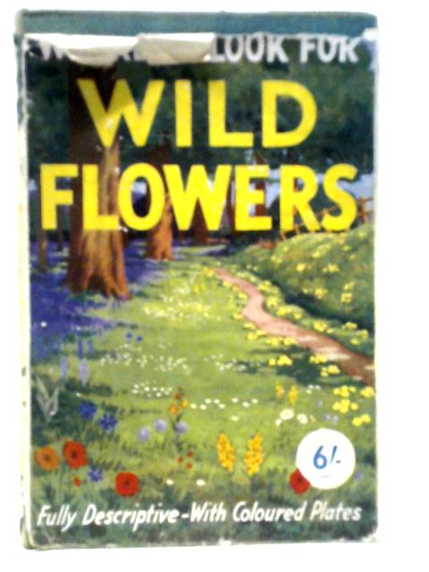 Where to Look for Wild Flowers