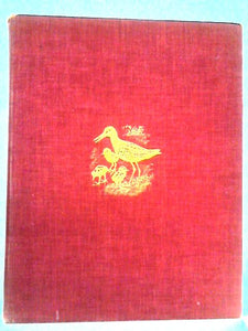 Shoreland'S Summer Diary 