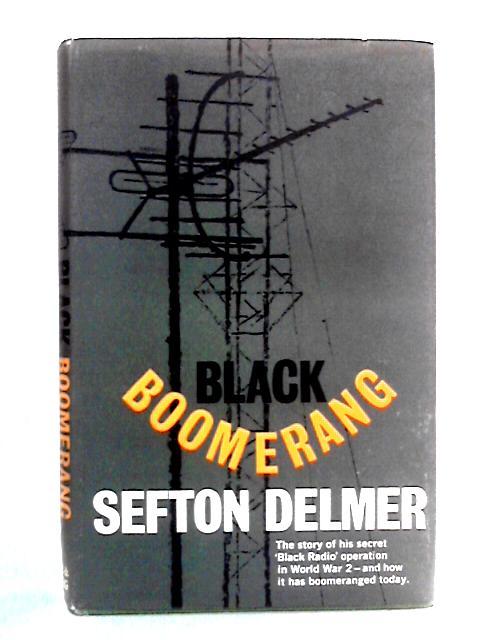 Black Boomerang: An Autobiography, Volume 2