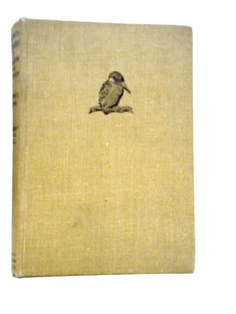 Out with Romany By Meadow and Stream