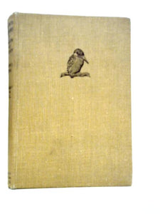 Out with Romany By Meadow and Stream 