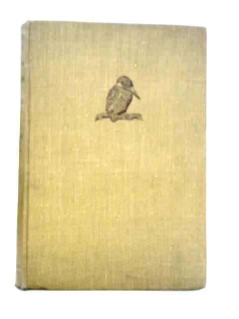 Out with Romany By Meadow and Stream