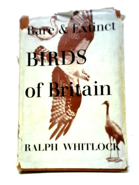 Rare and Extinct Birds of Britain