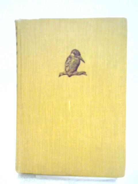 Out with Romany By Meadow and Stream