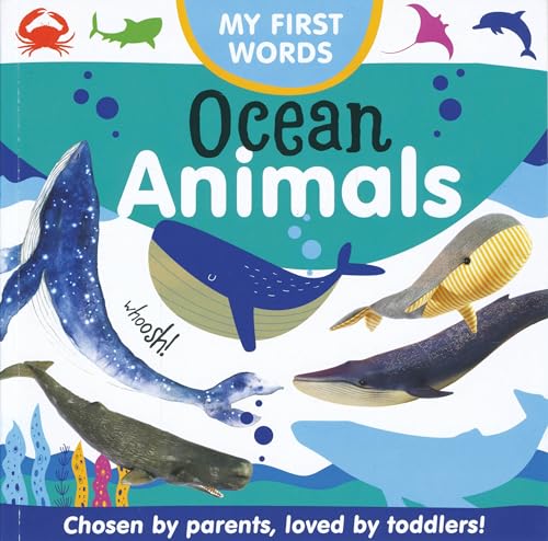 Ocean Animals