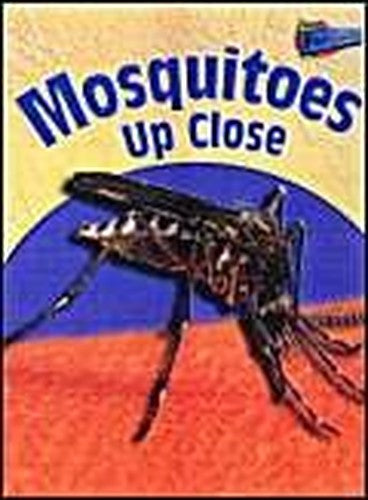 Mosquitoes Up-close