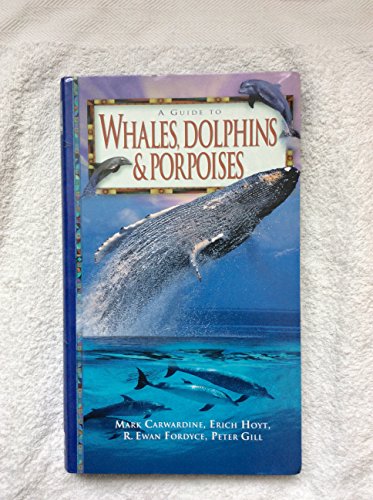 A Guide To Whales, Dolphins & Porpoises