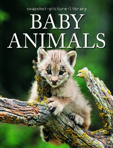 Baby Animals (Snapshot Picture Library)
