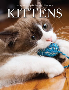 Kittens (Snapshot Picture Library) by Weldon Owen (2007) Hardcover 
