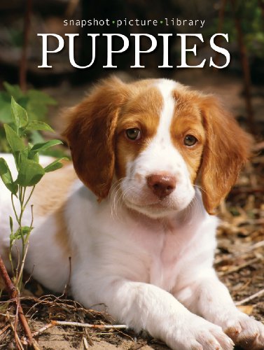 Snapshot Picture Library Puppies by Sonia Vallabh (2007-01-01)