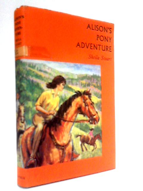 Alison's Pony Adventure