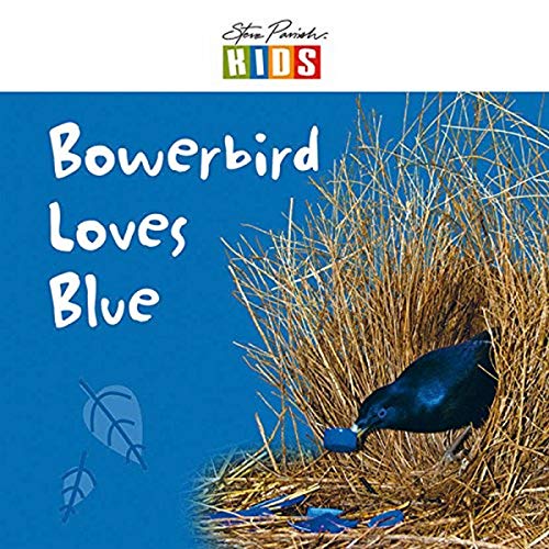 Bowerbird Loves Blue