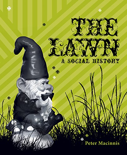 The Lawn