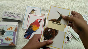 Building Blocks Slide & Learn Flashcards Animals