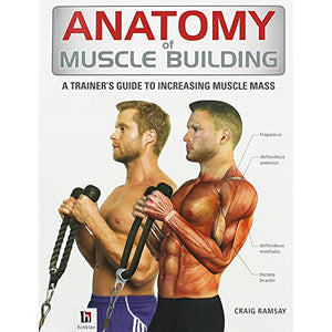 Anatomy of Muscle Building