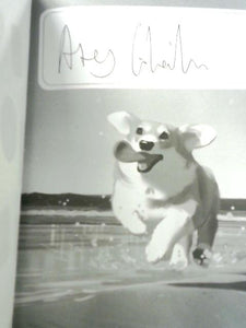 An Artistic Journey: Atey Ghailan 