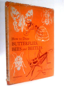How to draw butterflies and beetles 