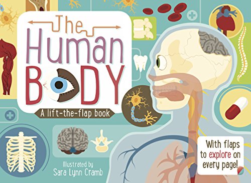 The Human Body: a Lift-the-Flap Book