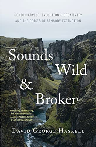 Sounds Wild and Broken