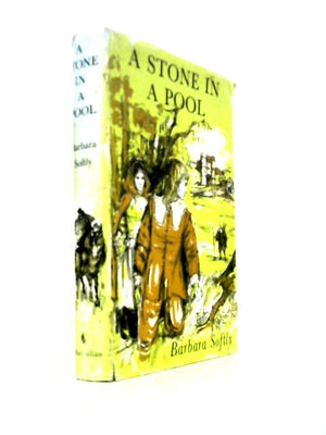 A Stone in a Pool