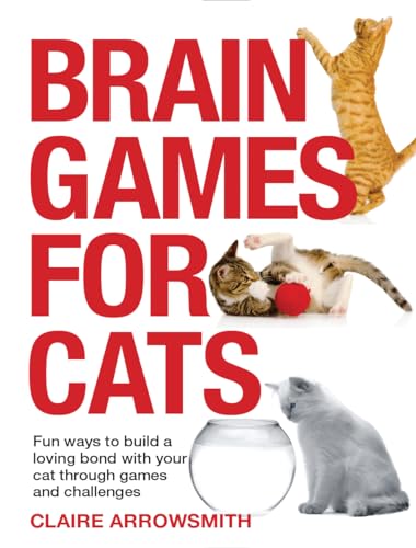 Brain Games for Cats