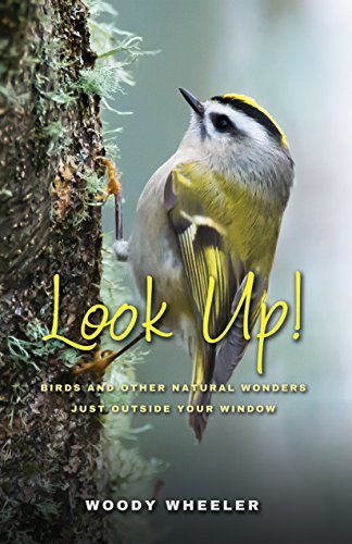 Look Up!