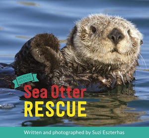 Sea Otter Rescue: Wildlife Rescue 