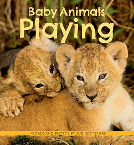 Baby Animals Playing 