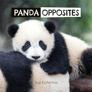 Panda Opposites 
