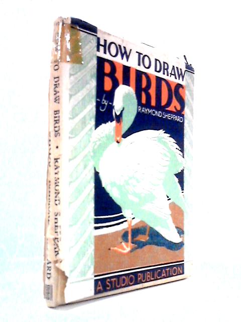 How to Draw Birds