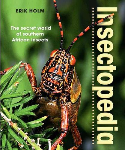Insectopedia  The secret world of southern African insects