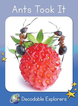 Ants Took It
